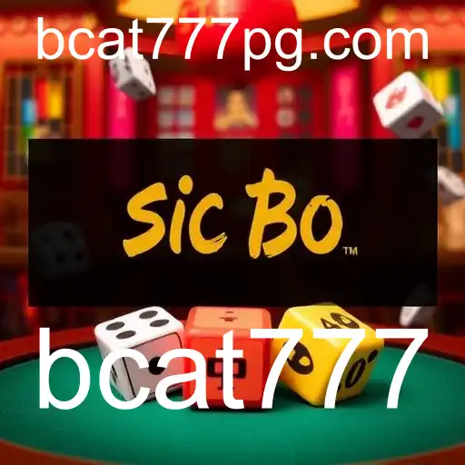 Casino Online Experience